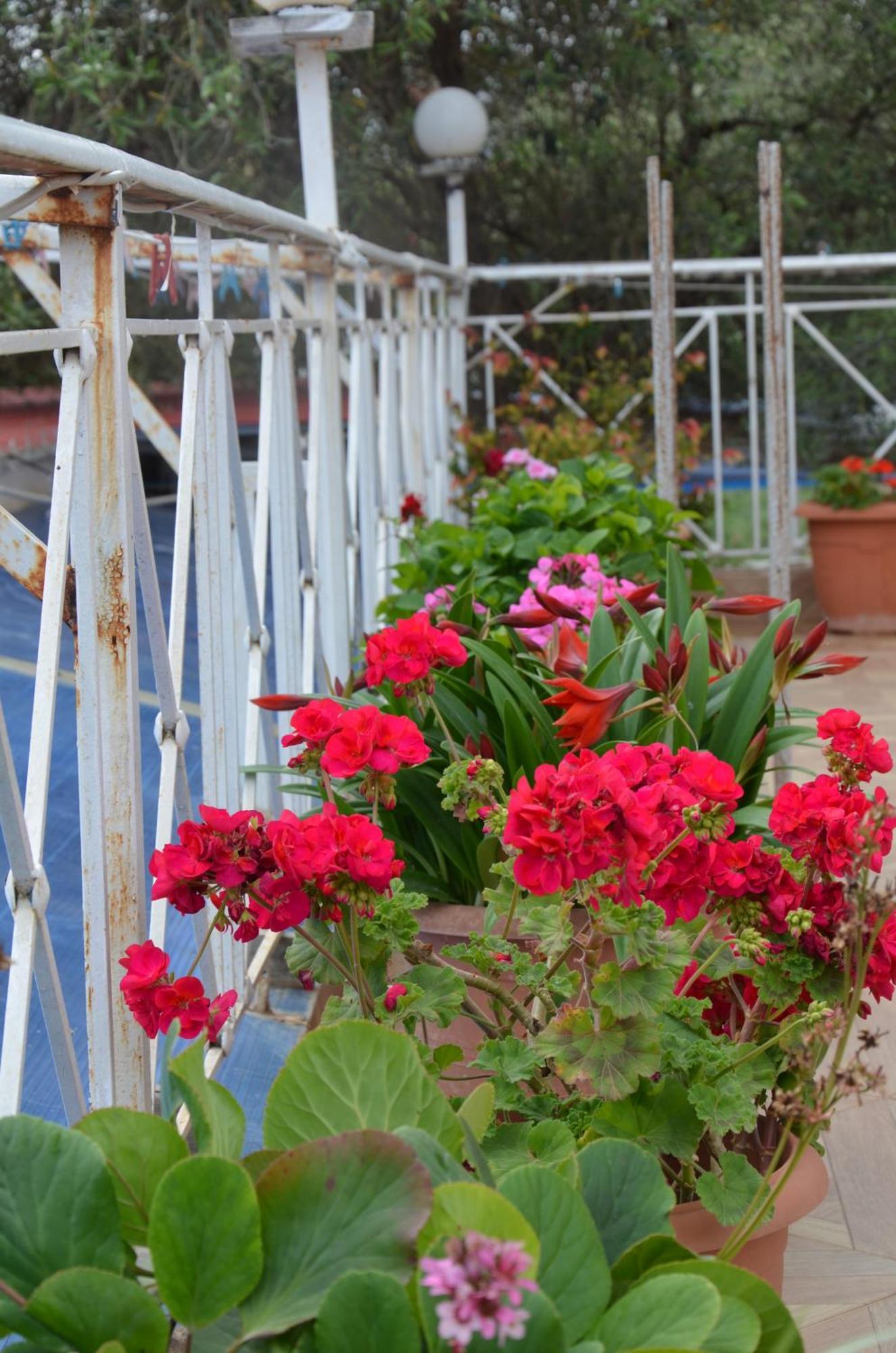 Garden Villa Veli Ksamil Dış mekan fotoğraf